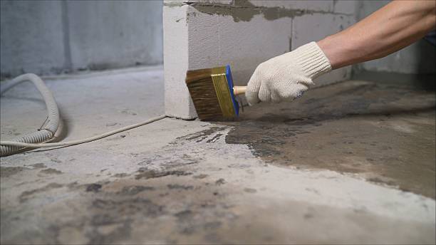 Trusted Waterproofing service in Sodus, MI - SGP Waterproofing